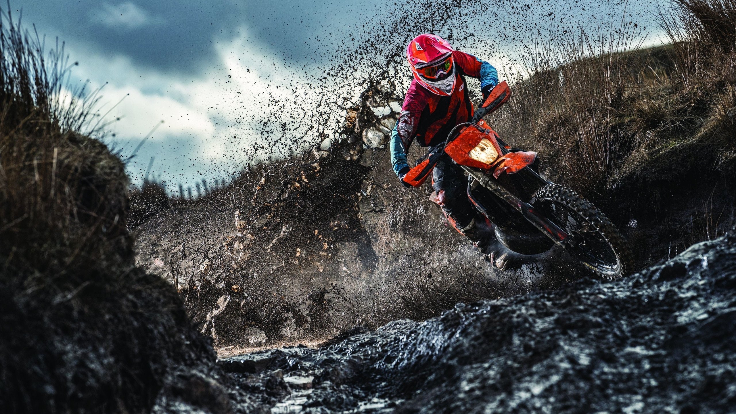 浓眉轰40+20打碎质疑，开拓者青年军掀翻东部豪强